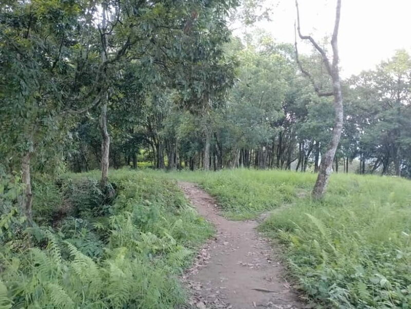 Short and Sweet: 3-Hour Hike with Views from Pokhara - A Practical Guide to the 3-Hour Hike from Lakeside Pokhara