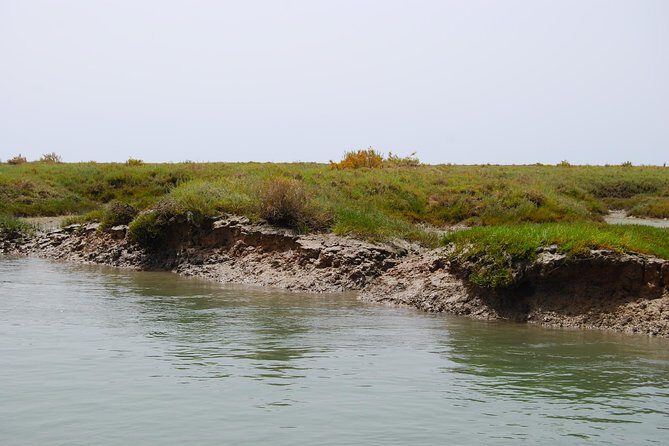 Short boat trip of the Algarve's Ria Formosa lagoon from Faro: 1 hour - Why Choose This Tour?