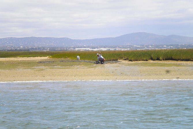 Short boat trip of the Algarve's Ria Formosa lagoon from Faro: 1 hour - Final Thoughts