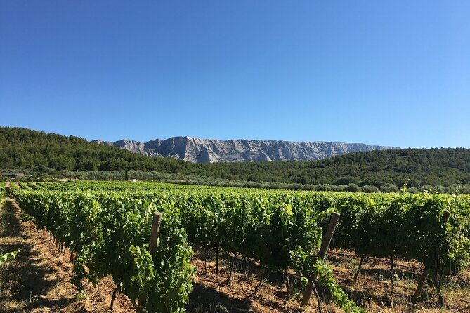 Short Day Tour around Aix en Provence and Wine Tasting - The Itinerary Breakdown: What to Expect
