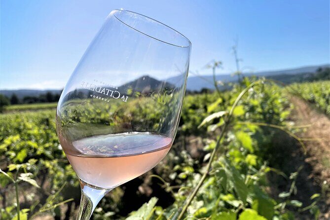 Short Day Tour around Aix en Provence and Wine Tasting - Authentic Experiences & Insights from Reviews