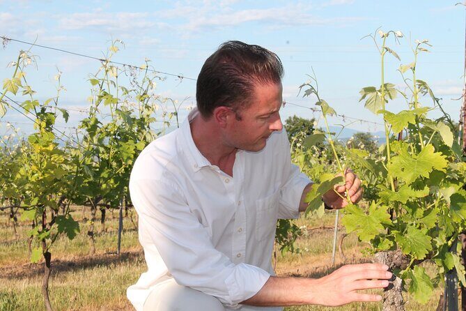Short Day Tour around Aix en Provence and Wine Tasting - The Sum Up