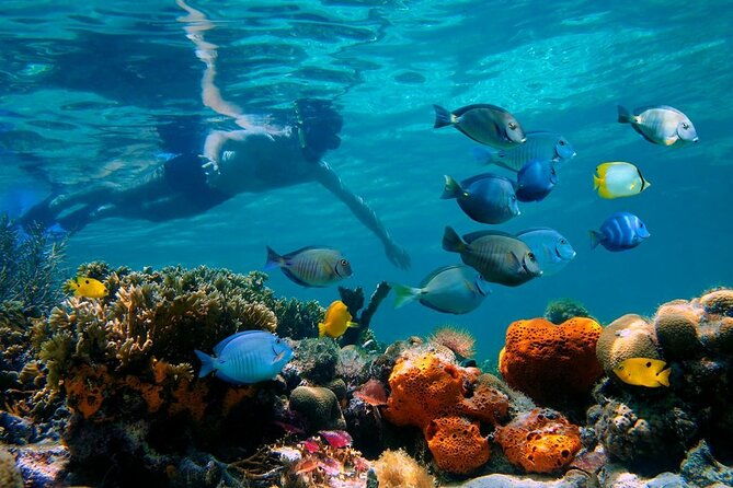 short-excursion-4-hour-party-catamaran-and-snorkeling