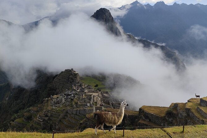 short-inca-trail-to-machu-picchu-2