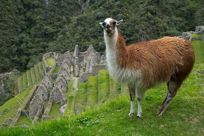 short-inca-trail-to-machu-picchu-2-days-1-night-3