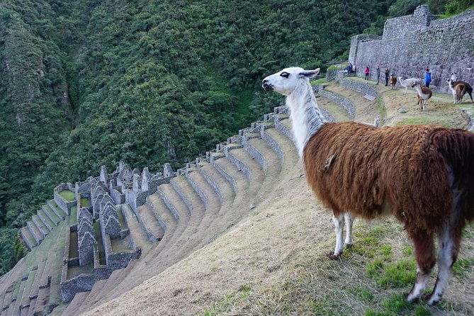 short-inca-trail-to-machu-picchu-2-days-glamping-service