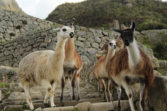 short-inca-trail-to-machu-picchu-2d-1n-3