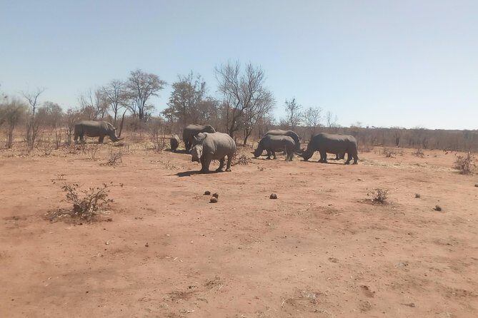 Short Rhino safari walk. - Final Thoughts