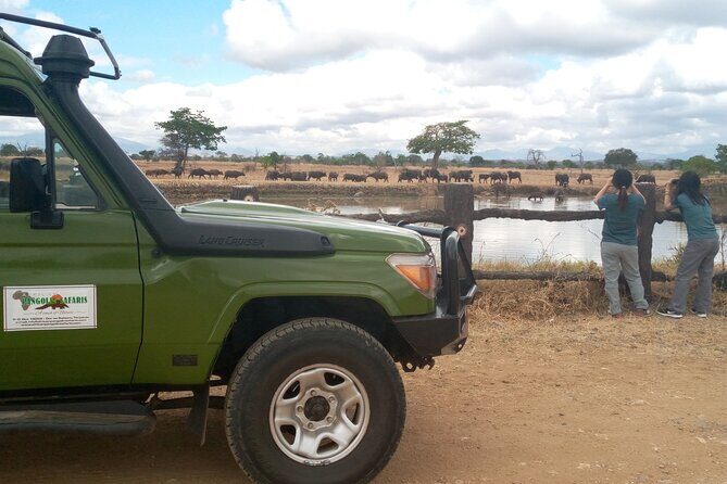 Short Safari from Dar es Salaam to Mikumi National Park - 2 Days - Who Is This Tour Best Suited For?