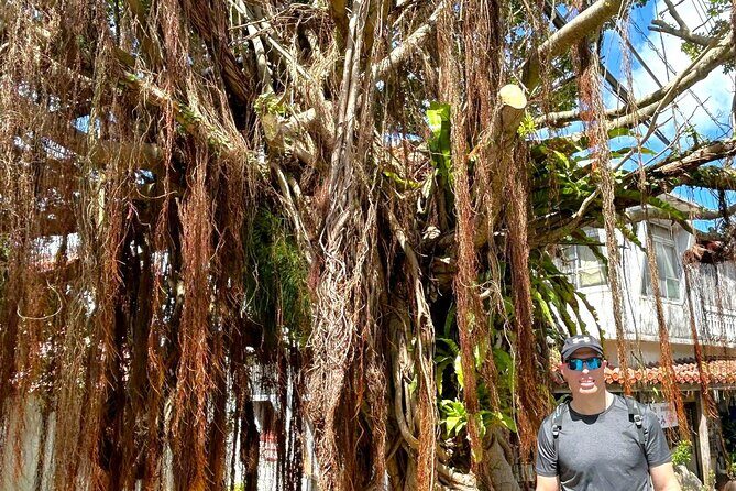 Shurijo Castle & Royal Mausoleum Tour  Ryukyu Kingdom Heritage - FAQ