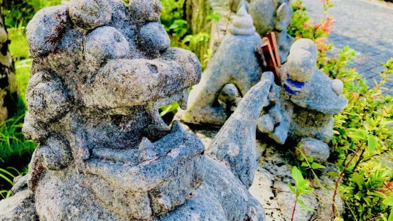 shurinaha-cycling-tour-explore-water-heritage-with-e-bike