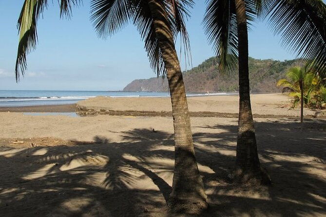 shuttle-from-san-jose-airport-to-jaco-beach-or-from-jaco-beach
