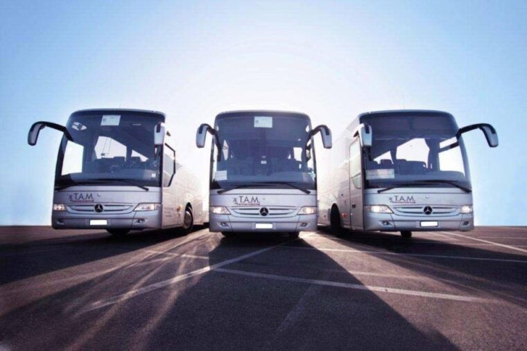 shuttle-service-to-easily-travel-between-naples-and-assisi