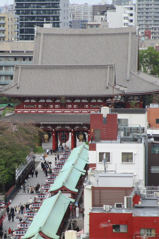 Shuttle Van Tour Tokyo for 4 Hours or 6 Hours+Transfer Time - Who Should Consider This Experience?