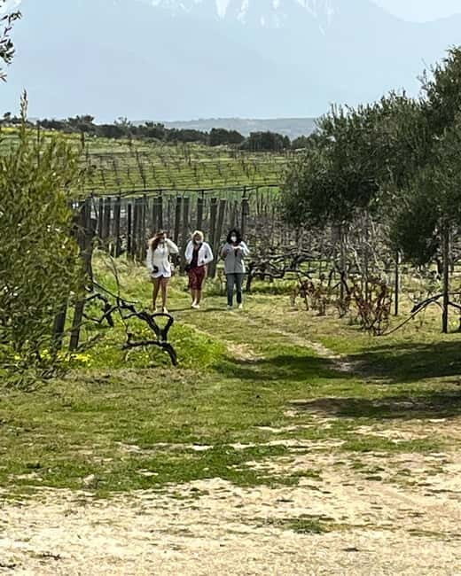Shuttle & Wine Experience at Lyrarakis Winery - What Sets This Tour Apart?  