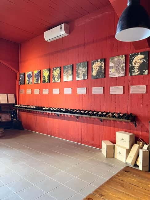 Shuttle & Wine Experience at Lyrarakis Winery - Final Thoughts  