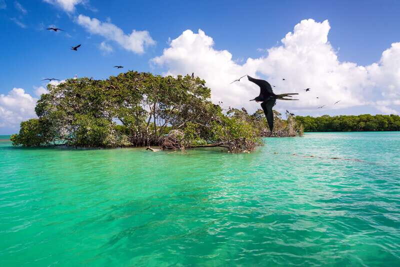 Sian Kaan Biosphere Reserve Full-Day Discovery Tour - Key Points