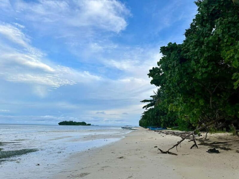 Siargao Island Vegetarian Cooking Class - Price and Value Analysis