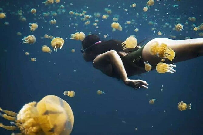 Siargao Private Sohoton Bucas Grande Tour with Lunch - Exploring the Siargao Private Sohoton Bucas Grande Tour: A Detailed Look