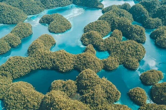 Siargao Private Sohoton Bucas Grande Tour with Lunch - The Experience: What to Expect on the Tour