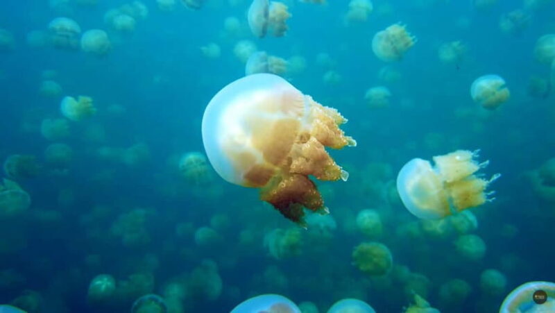 Siargao Sohoton Adventure Meets Corregidor Island - Key Points