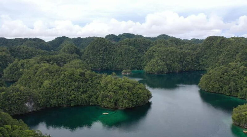 Siargao: Sohoton and Non-Sting Jellyfish Sanctuary Tour - Key Points