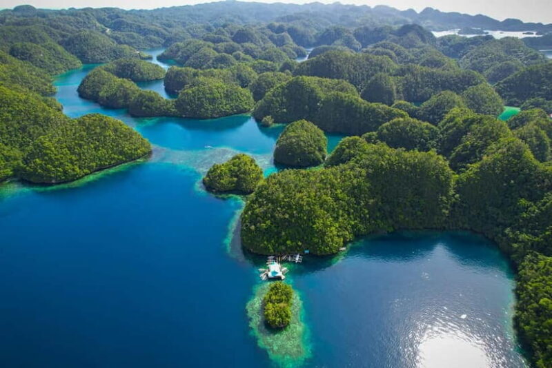 Siargao: Sohoton and Non-Sting Jellyfish Sanctuary Tour - The Non-Sting Jellyfish Sanctuary: Nature’s Gentle Wonder