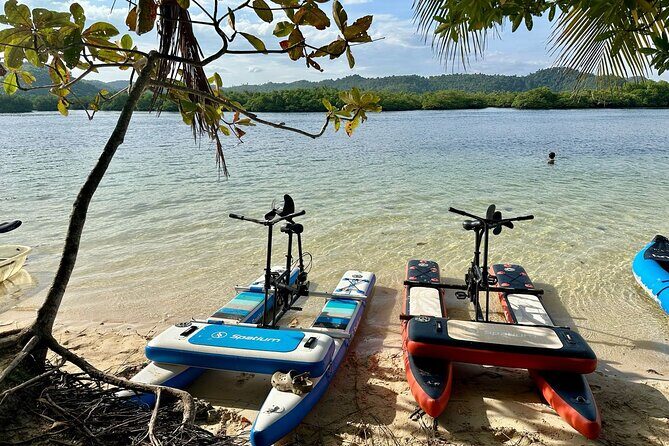 Siargao Sunset Paddle Board and Firefly Watching - Introduction