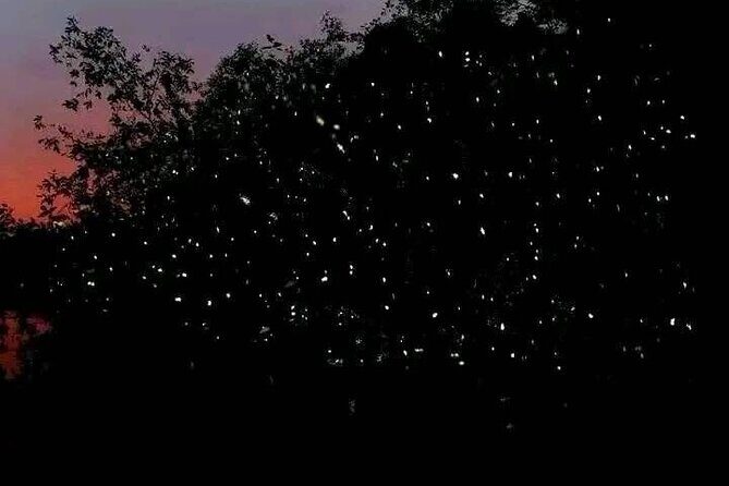 Siargao Sunset Paddle Board and Firefly Watching - Final Thoughts