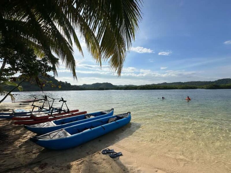 Siargao: Sunset Paddle Boarding and Firefly Watching Tour - What to Expect from the Siargao Sunset Paddle Boarding and Firefly Watching Tour