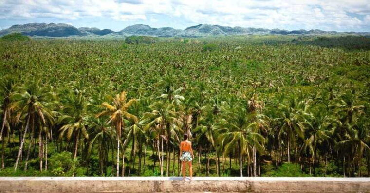 siargao-tour-b-private-tour