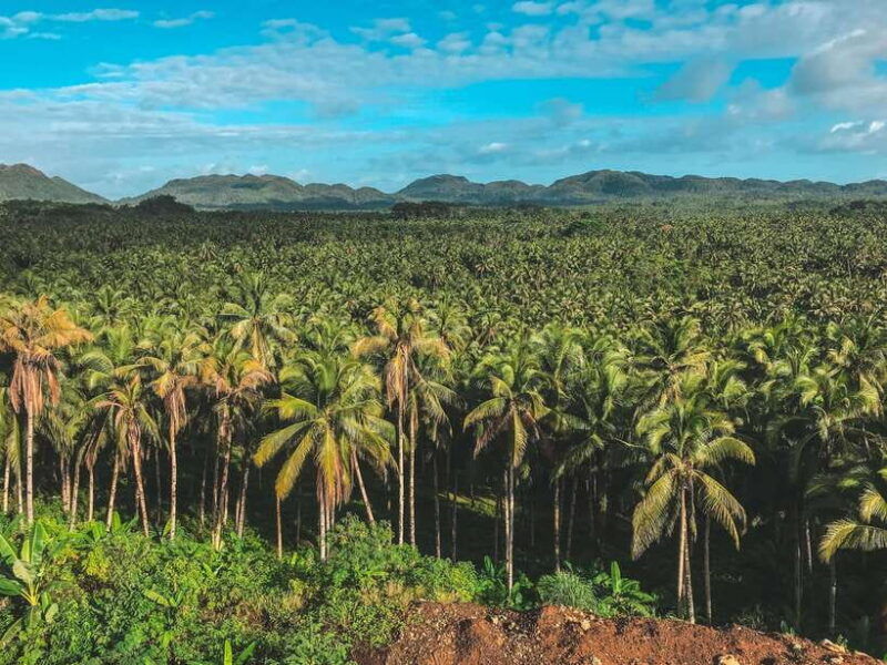 siargao-tour-d-private-tour