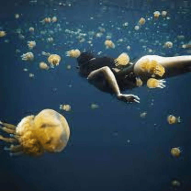 siargaosohoton-island-hopping-tour-with-jellyfish-sanctuary
