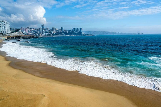 sib-vina-del-mar-and-valparaiso-day-trip-from-santiago