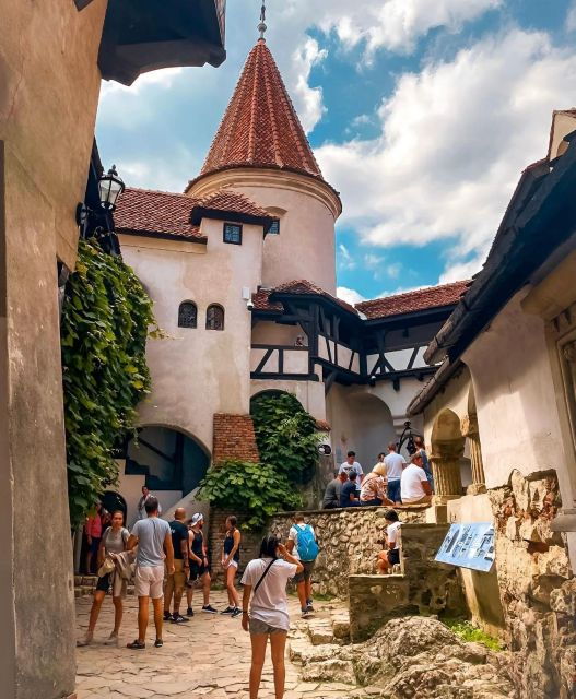 sibiu-draculas-castle-and-brasov-day-roundtrip-day-tour