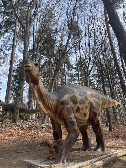 sibiu-draculas-castle-and-dino-park-day-trip