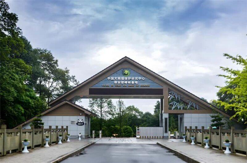 Sichuan: Bifengxia Giant Panda Base Ticket - Frequently Asked Questions