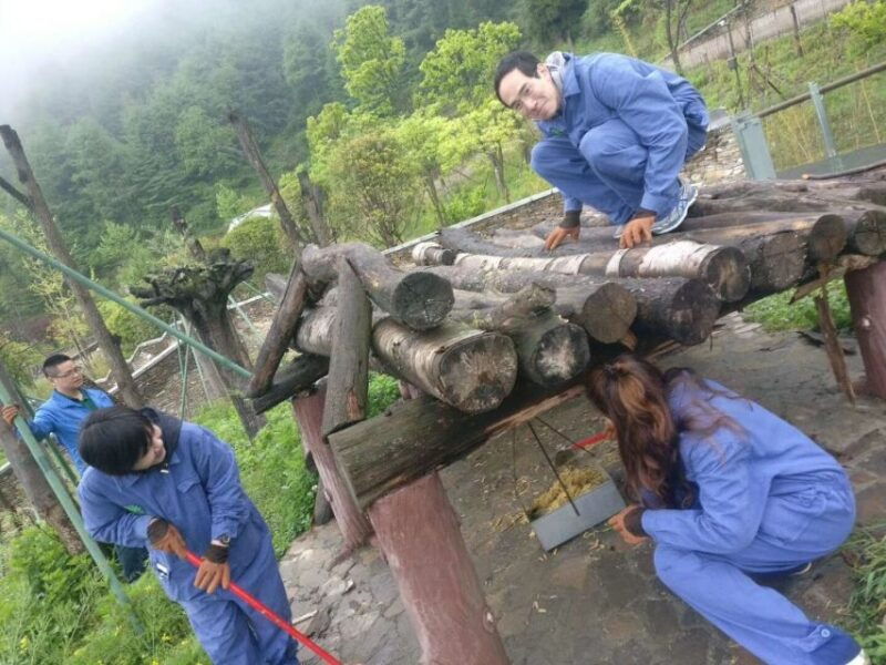 sichuan-big-panda-volunteer-day-tour