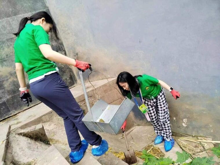 sichuan-big-panda-volunteer-day-tour