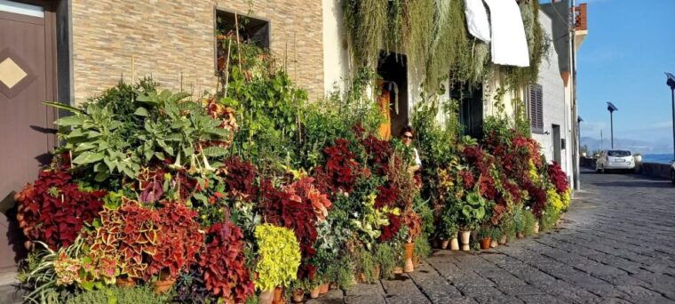 sicilian-experience-with-local-guide-test-wine-and-food