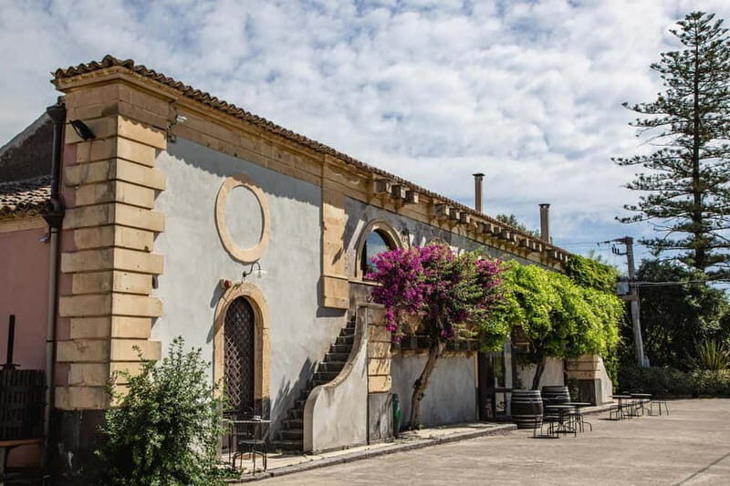 Sicilian Soul: Winery Tour, Wine & Food Tasting in Catania - Who is This Tour Best For?