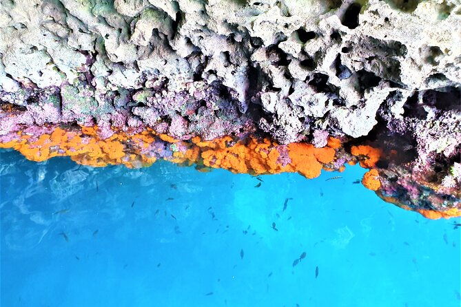 sicilian-wine-tasting-on-the-boat-in-taormina-2