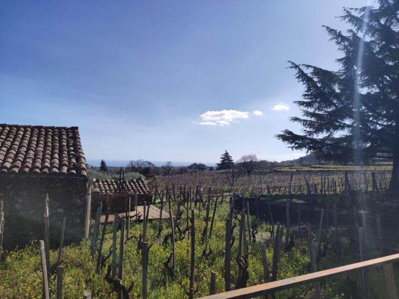 sicily-etna-volcano-and-wine-tasting-tour
