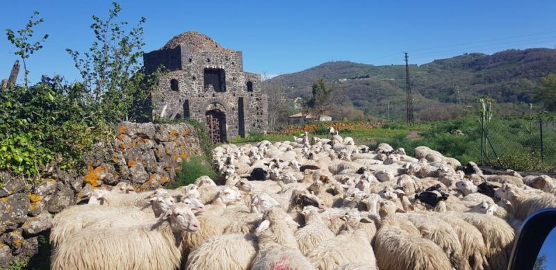 sicily-mount-etna-4x4-jeep-tour-with-lava-caves-forests