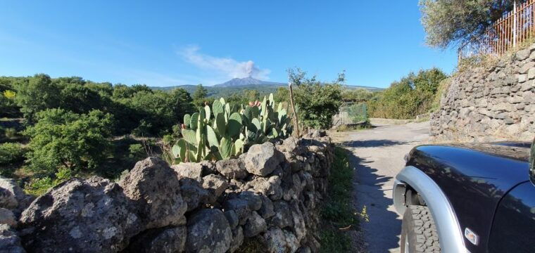 sicily-mount-etna-4x4-jeep-tour-with-lava-caves-forests