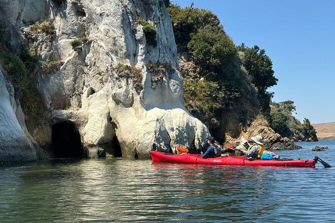 sick-day-midweek-kayak-tour-on-tomales-bay