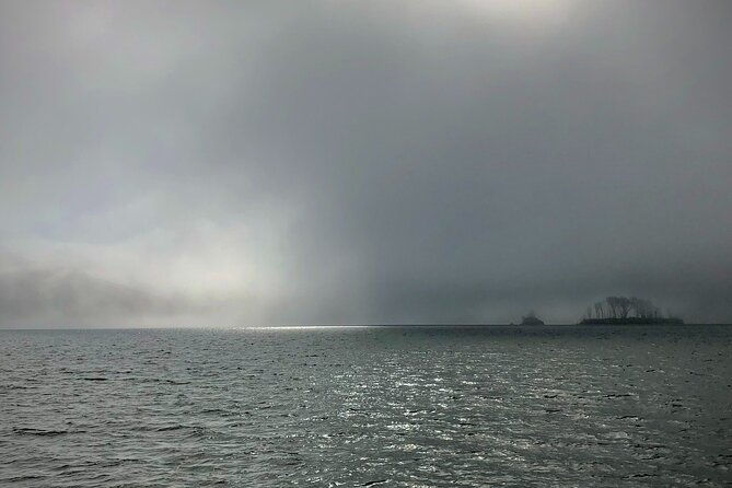 sick-day-midweek-kayak-tour-on-tomales-bay