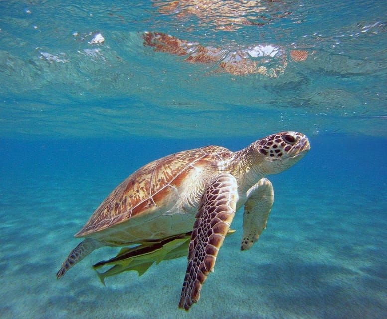 side-alanya-boat-tour-to-the-cleopatra-beach-hidden-bays