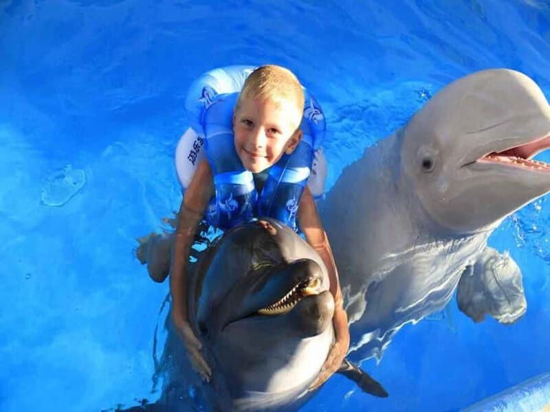 Side/Alanya: Swimming with Dolphins and Dolphin Show - What to Expect from the Dolphin and Seal Tour