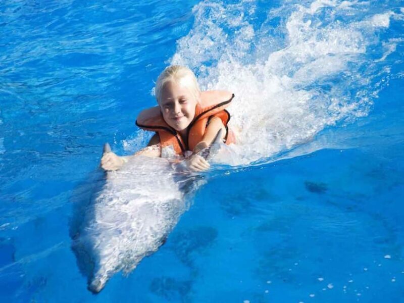 Side/Alanya: Swimming with Dolphins and Dolphin Show - Authentic Experiences and Practical Tips